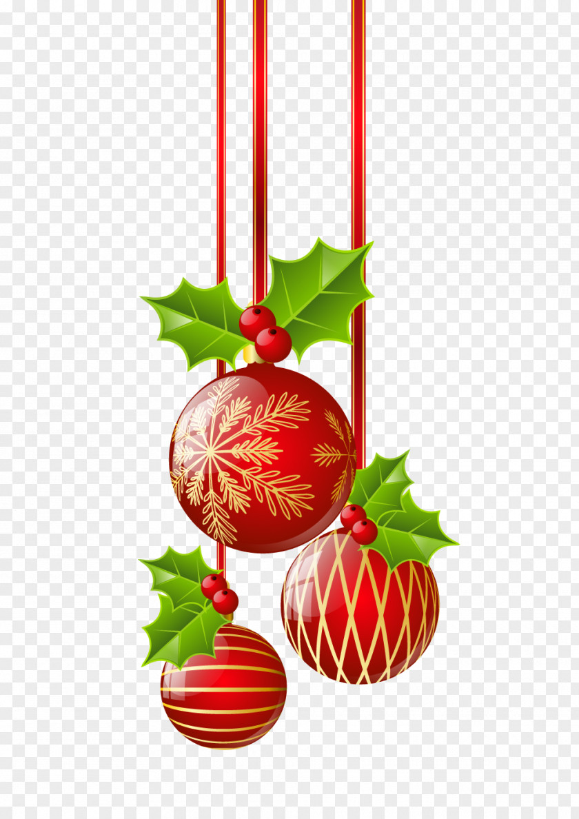 Transparent Christmas Red Ornaments Clipart Ornament Common Holly PNG