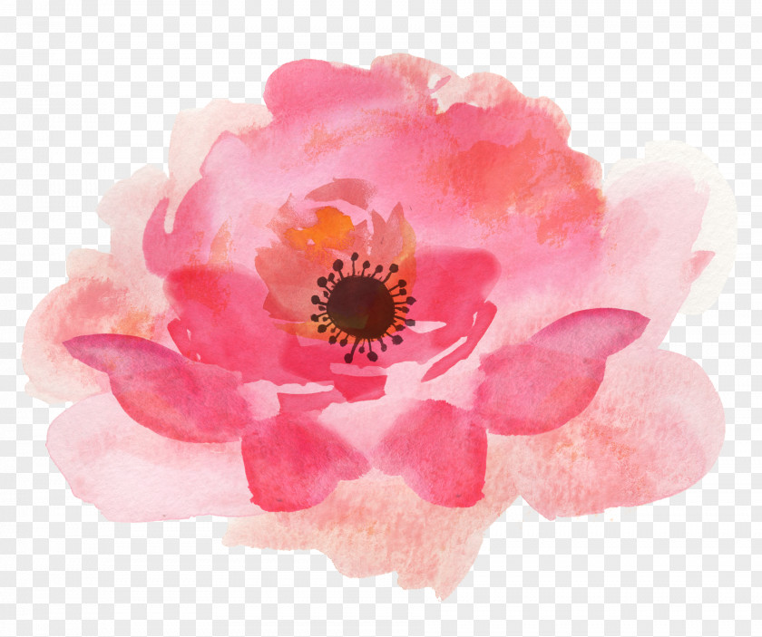 Watercolor Flower Watercolour Flowers Painting Floral Design Clip Art PNG