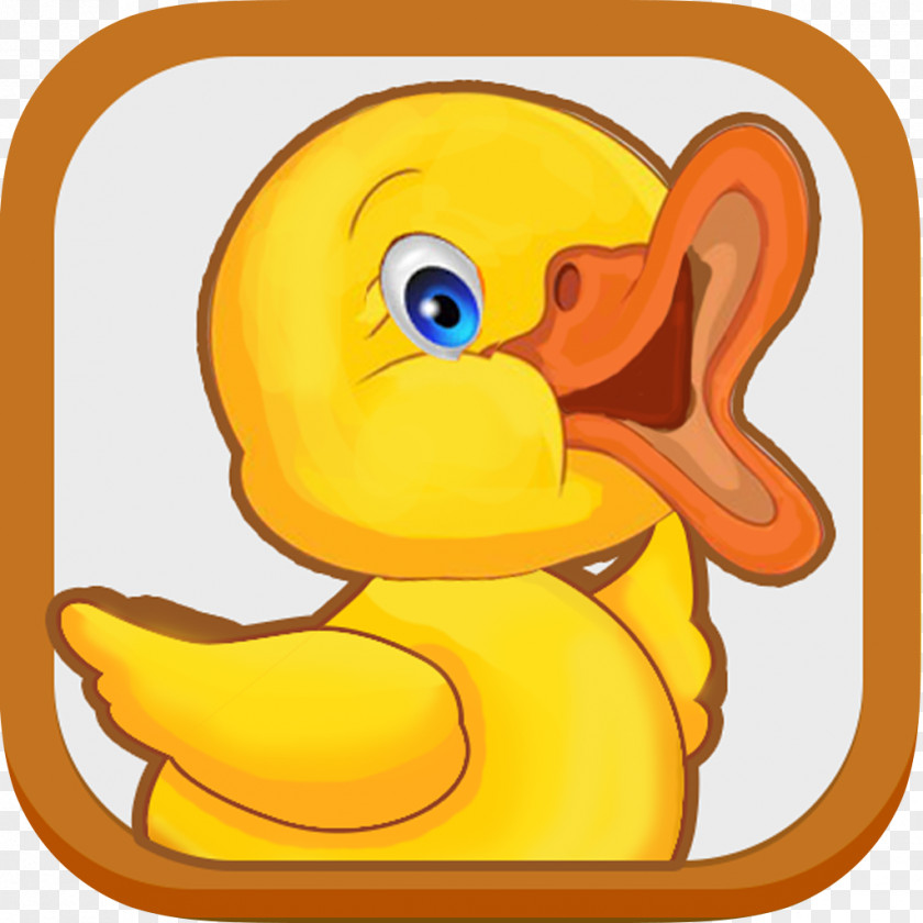 Waterside Duck Learning Educational Game Clip Art PNG