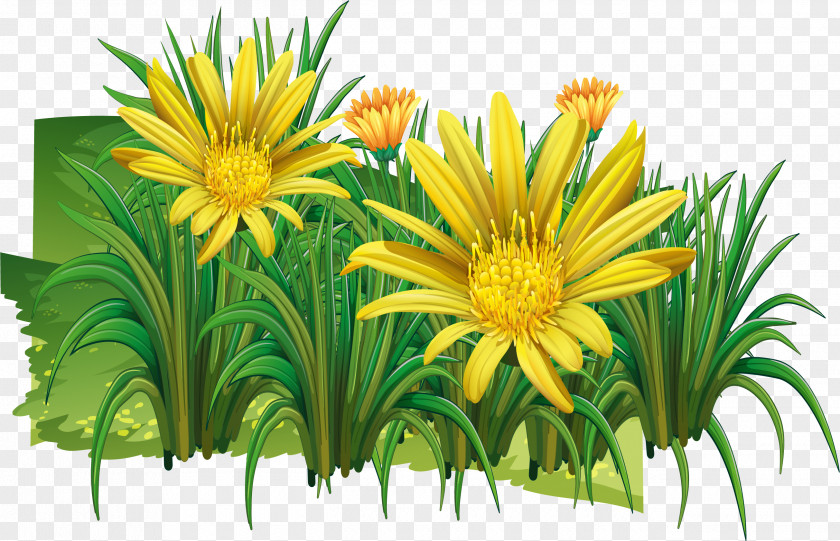 Yellow Wild Chrysanthemum Indicum Clip Art PNG