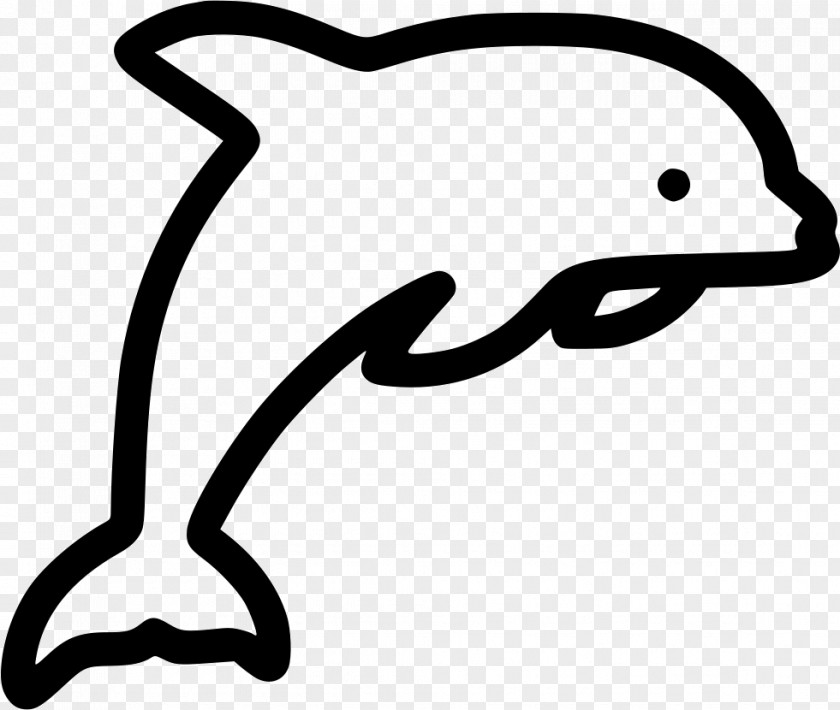 Dolphin Icon Design PNG