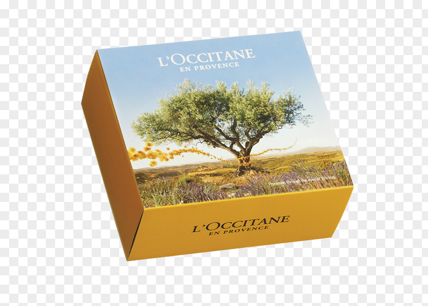 Gift L'Occitane En Provence Cosmetics Box PNG