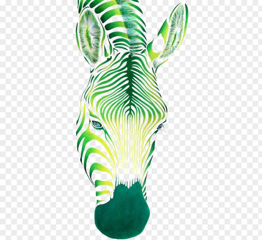 Green Horse Image Zebra Watercolor Painting Drawing PNG