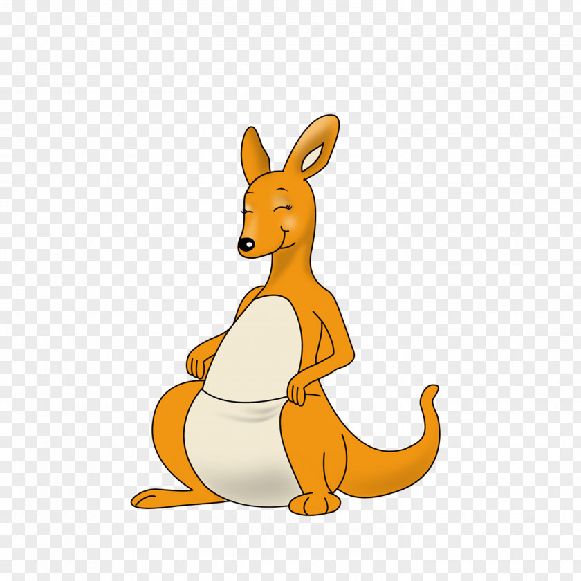 Kangaroo Australia Cartoon Clip Art PNG