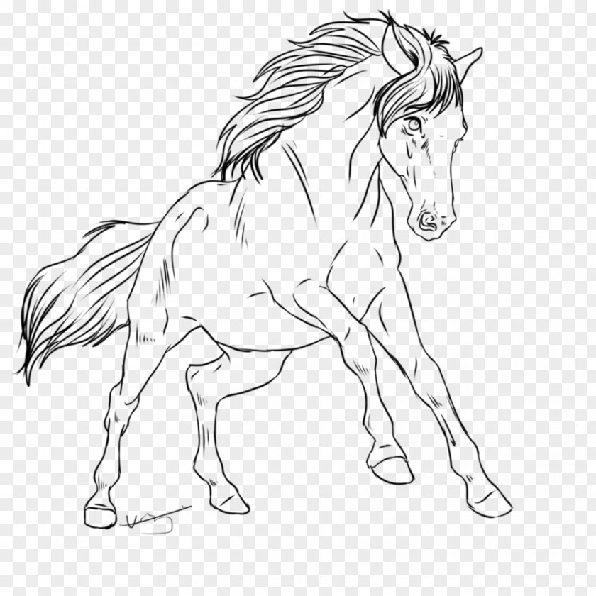 Lineart Mane Mustang Pony Stallion Halter PNG