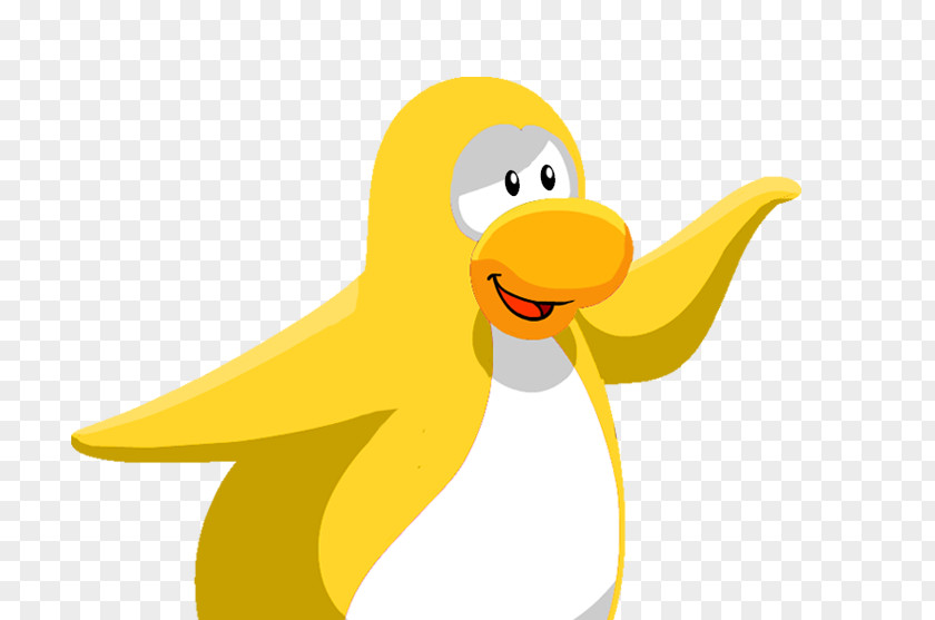 Penguin Club Duck Bird Southern Rockhopper PNG