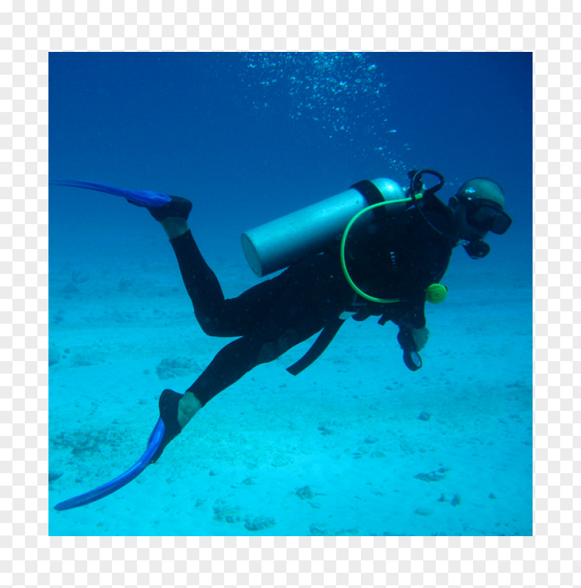 Scuba Diving Underwater Set Equipment PNG