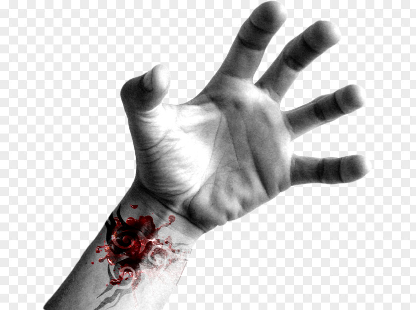 Body Human Finger Arm Clip Art PNG