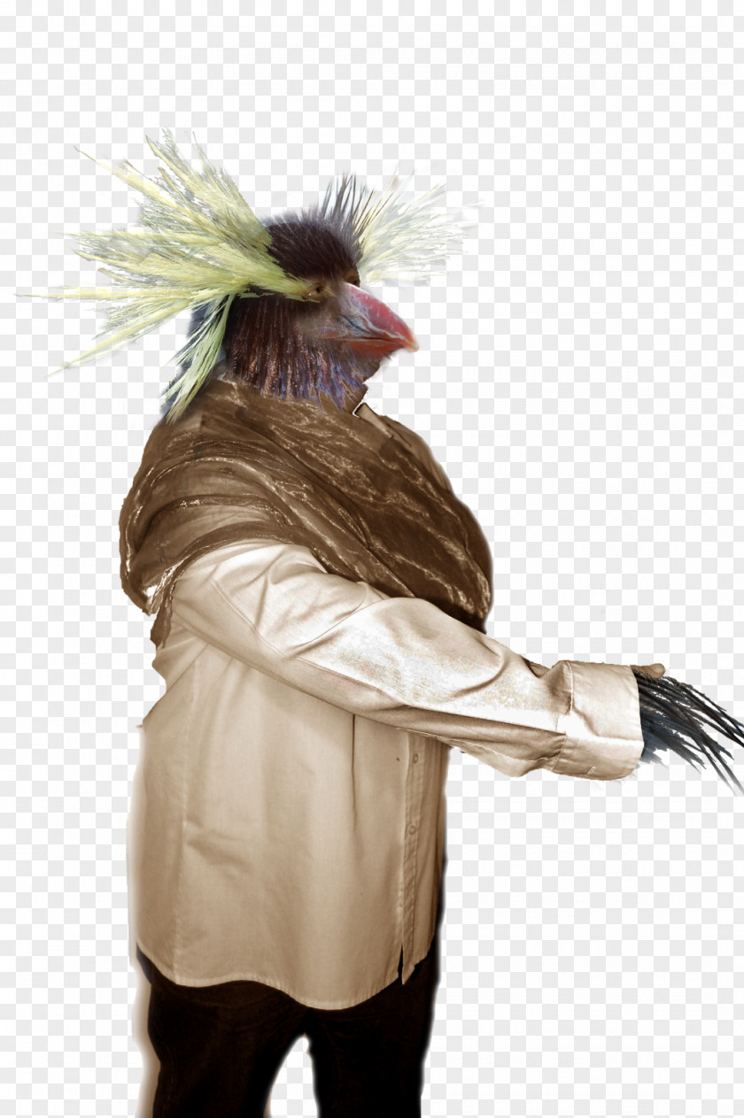 Feather Costume Design PNG
