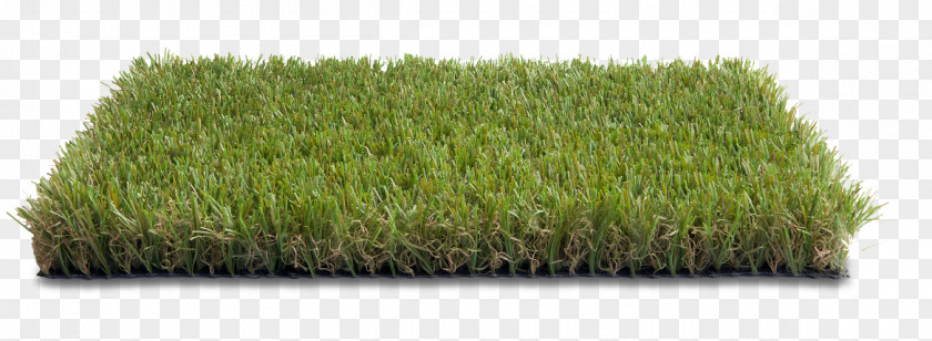 Landscape Green Marche Artificial Turf Zoom Video Communications Meadow Shop PNG