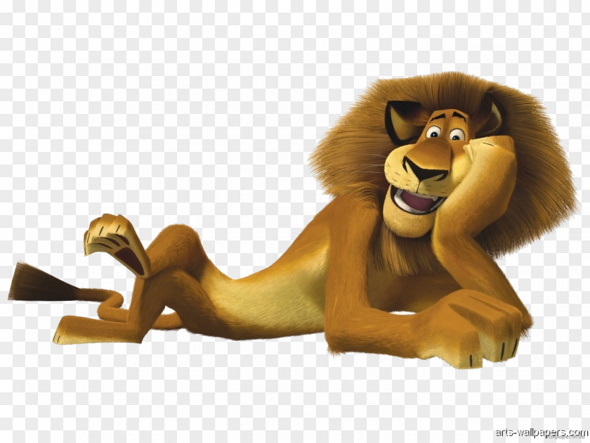 Lion King Alex YouTube Madagascar Cartoon Animation PNG