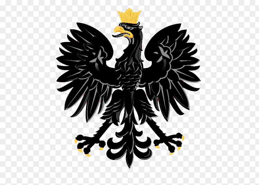 Polish Eagle Coat Of Arms Poland T-shirt Flag PNG