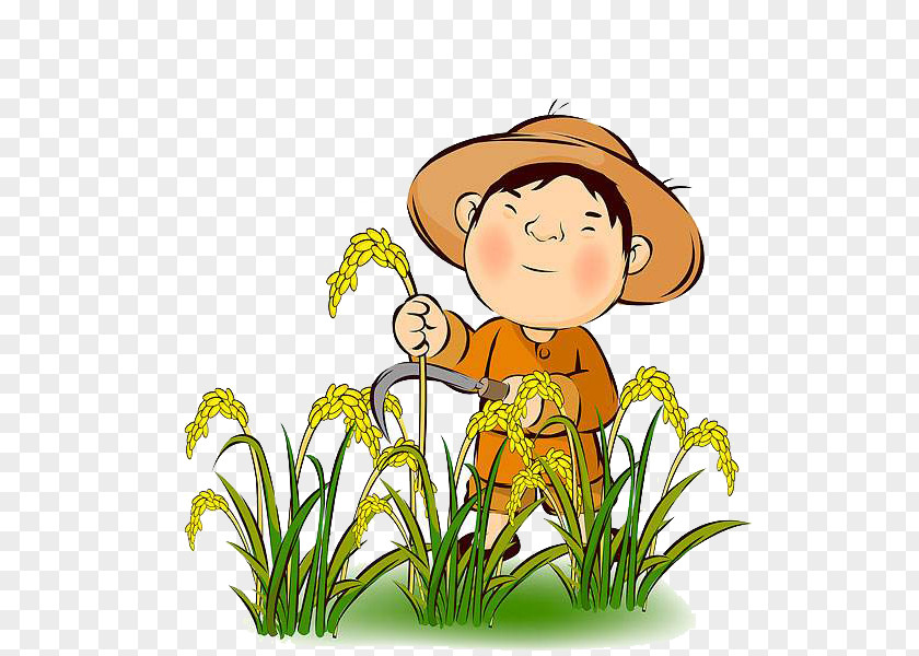 The Farmer Who Receives Wheat Rice Agriculture Harvest Clip Art PNG