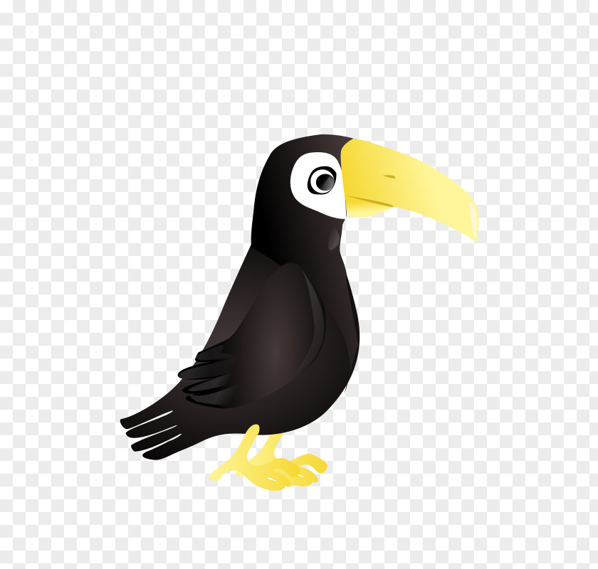 Toucan Parrot Clip Art PNG