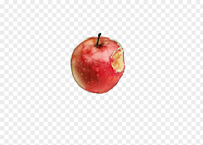 Bitten Apple Watercolor Painting Sketch PNG