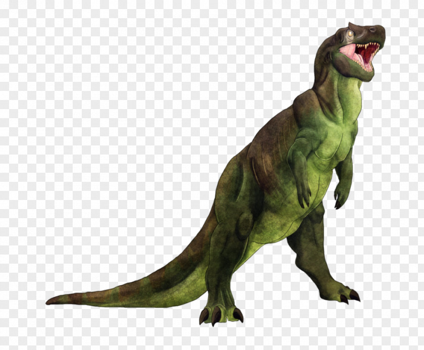Dinosaur Tyrannosaurus Carnivores: Hunter Spinosaurus Iguanodon PNG