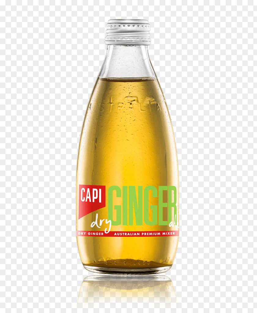 Dry Ginger Fizzy Drinks Ale Tonic Water Beer Drink Mixer PNG