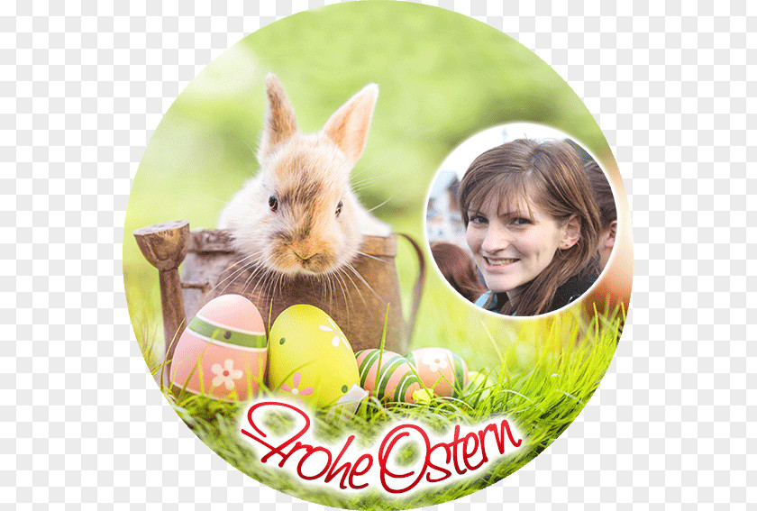 Easter Bunny Good Friday Egg Hunt PNG
