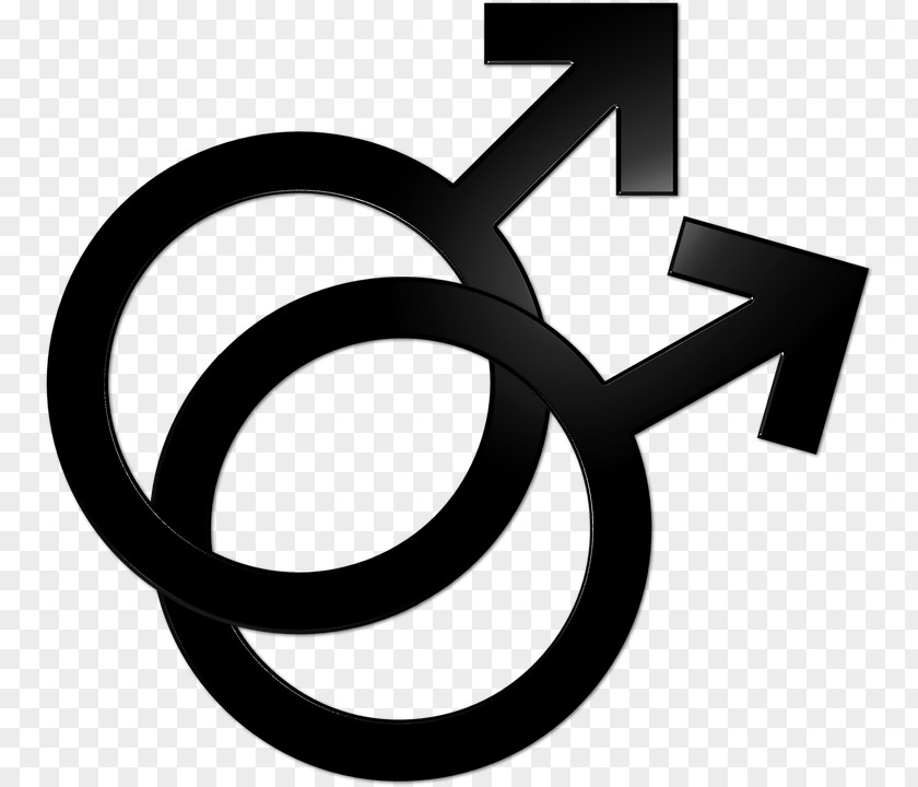 Homosexuality Gay Icon LGBT Symbols Valor On The Move: Romance PNG icon symbols on the Romance, Pride Mobility clipart PNG