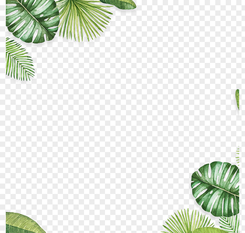 Leaf Background Decoration Material PNG background decoration material clipart PNG