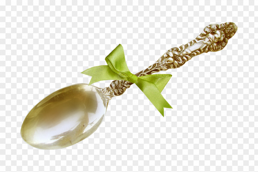 Spoon Wooden Salt Knife PNG