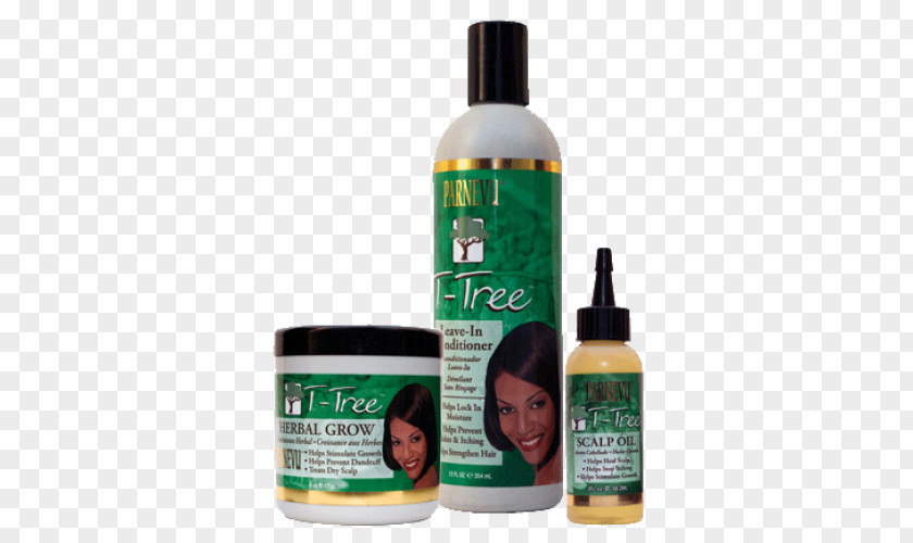 Tea Tree Hair Products Care Oil Scalp Shampoo PNG