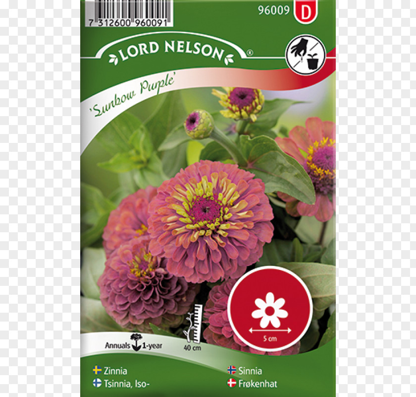 Zinnia Elegans Seed Annual Plant Flower Common Red PNG