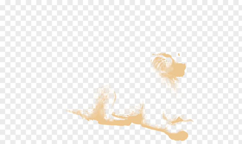Cat Whiskers Mammal Lion Dog PNG