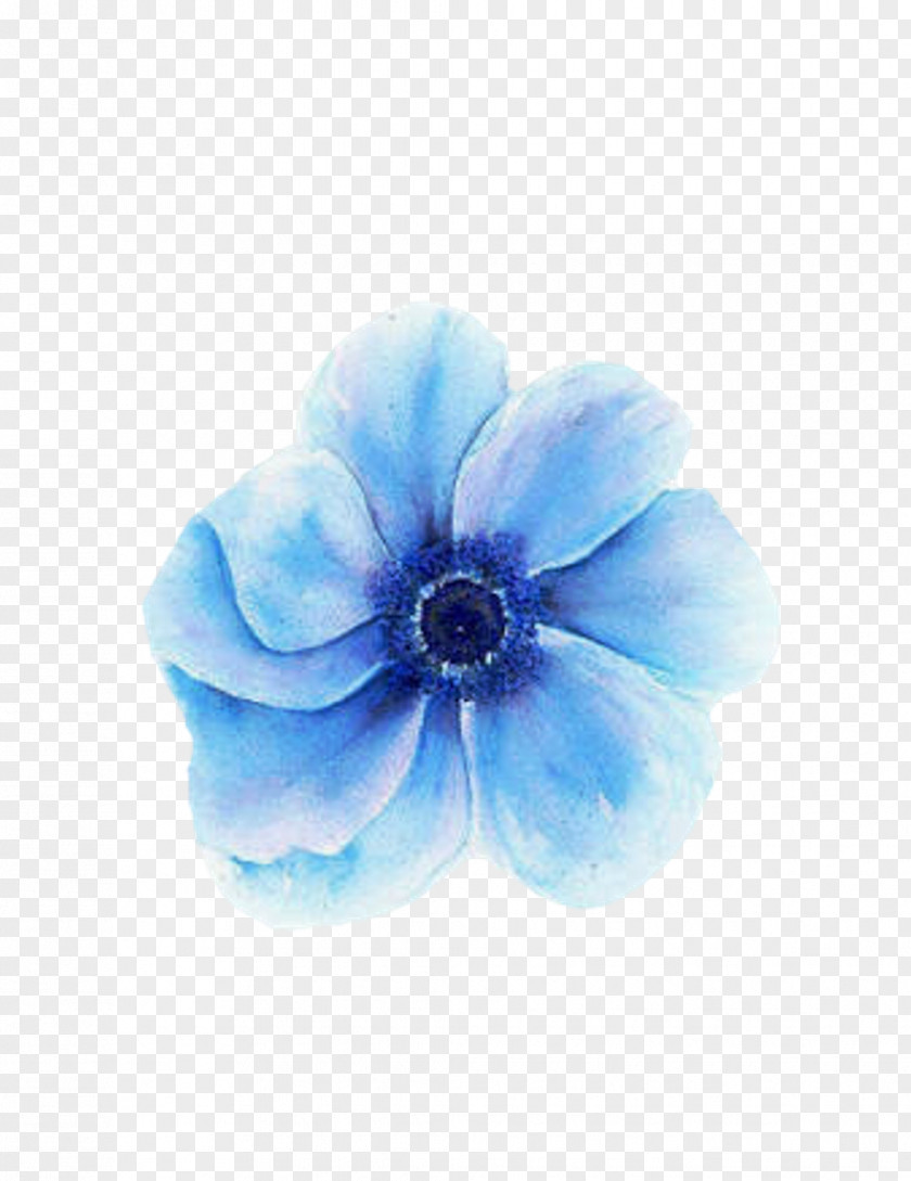 Flower Floral Design Blue Canvas Painting PNG