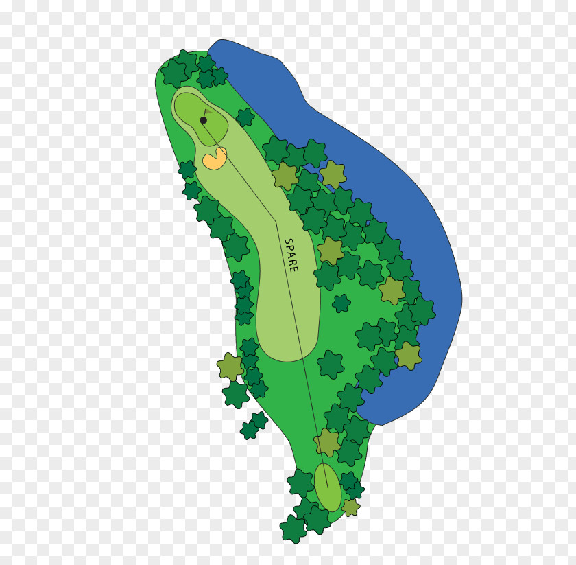 Golf Course Clubs Tees Par PNG