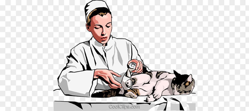 Kitten Cat Dog Veterinarian Clip Art PNG