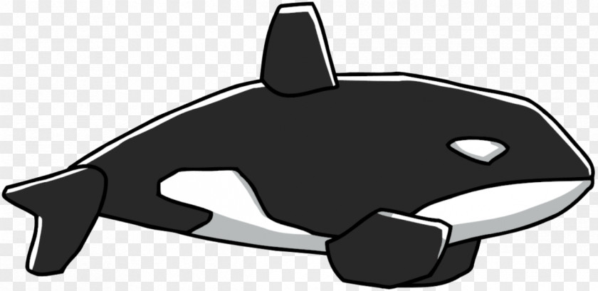 Dolphin Killer Whale Marine Mammal Scribblenauts Whales PNG