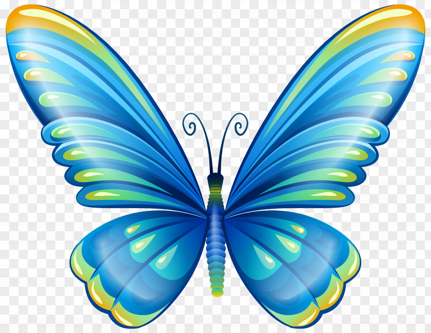 Large Art Blue Butterfly Clip Image PNG