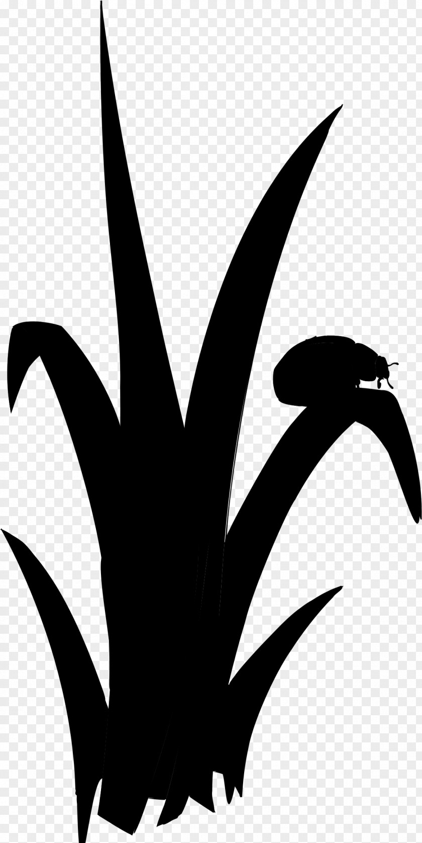 M Leaf Character Flower Clip Art Black & White PNG
