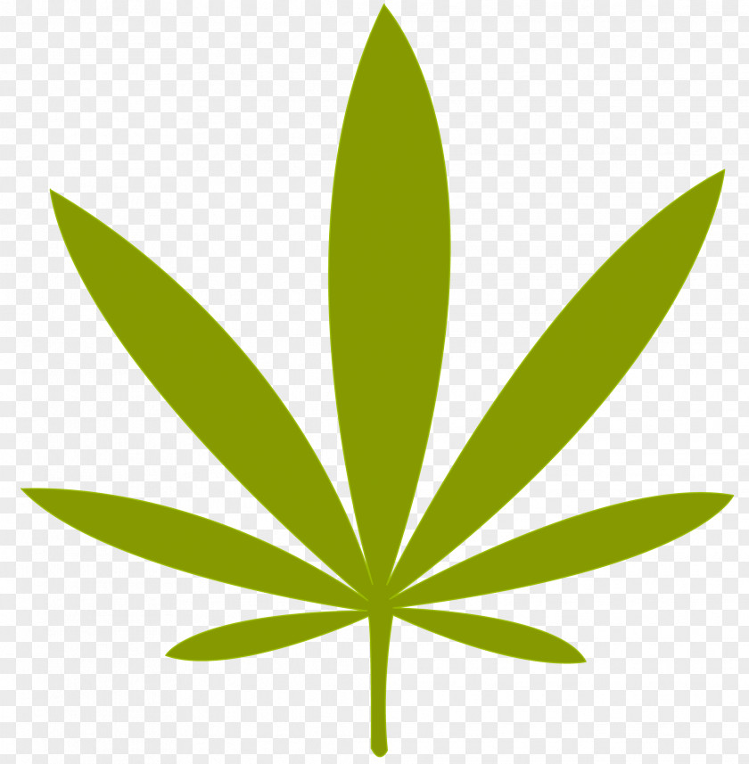 Marijuana Adult Use Of Act Cannabis California Proposition 215 Stencil Drawing PNG