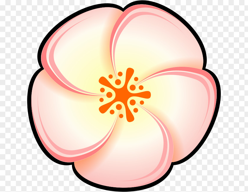 Peach Flower Color Clip Art PNG