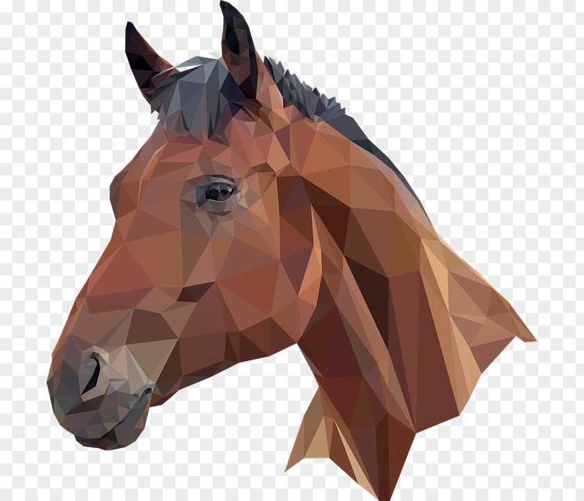 A Collar For Horse Head Mask T-shirt PNG