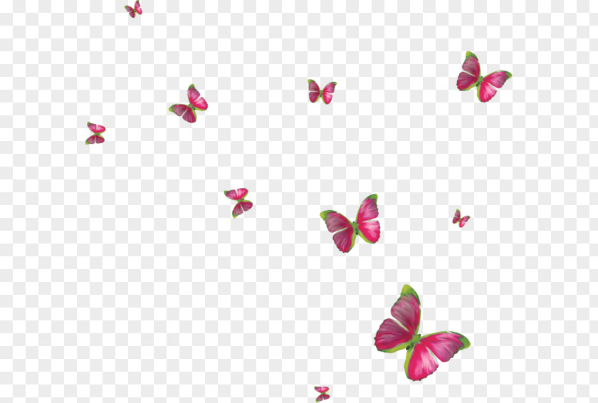 Butterfly Monarch Insect Gardening Clip Art PNG