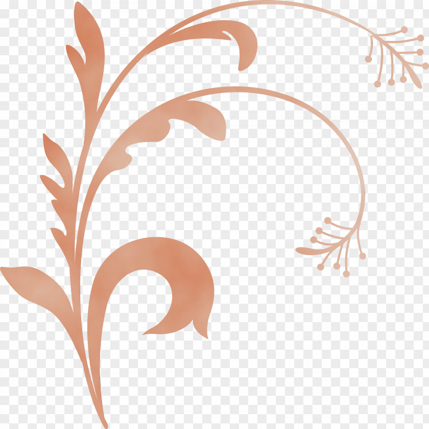 Leaf Plant PNG