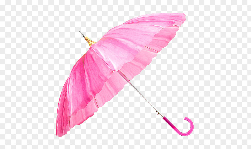 Pink Umbrella Cloakroom Purple Designer PNG