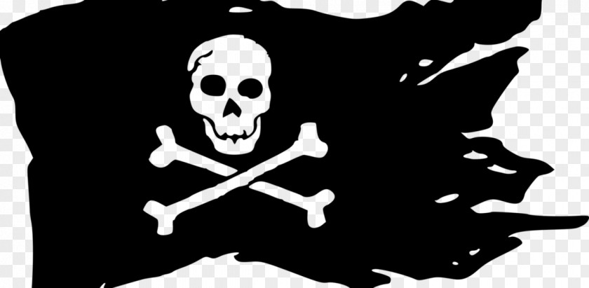 Pirata Ching Shih Jolly Roger Piracy Clip Art PNG