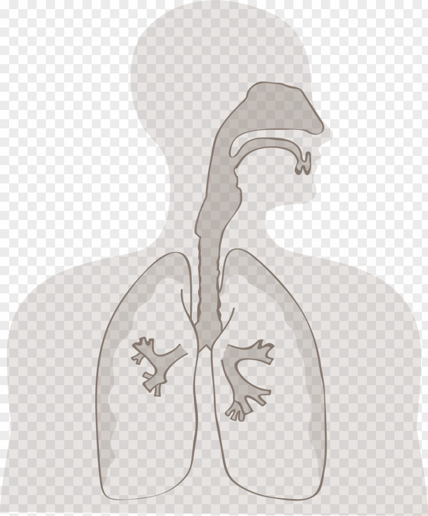 Respiratory Tract Virus Influenza Viral Infection Sneeze Cough PNG