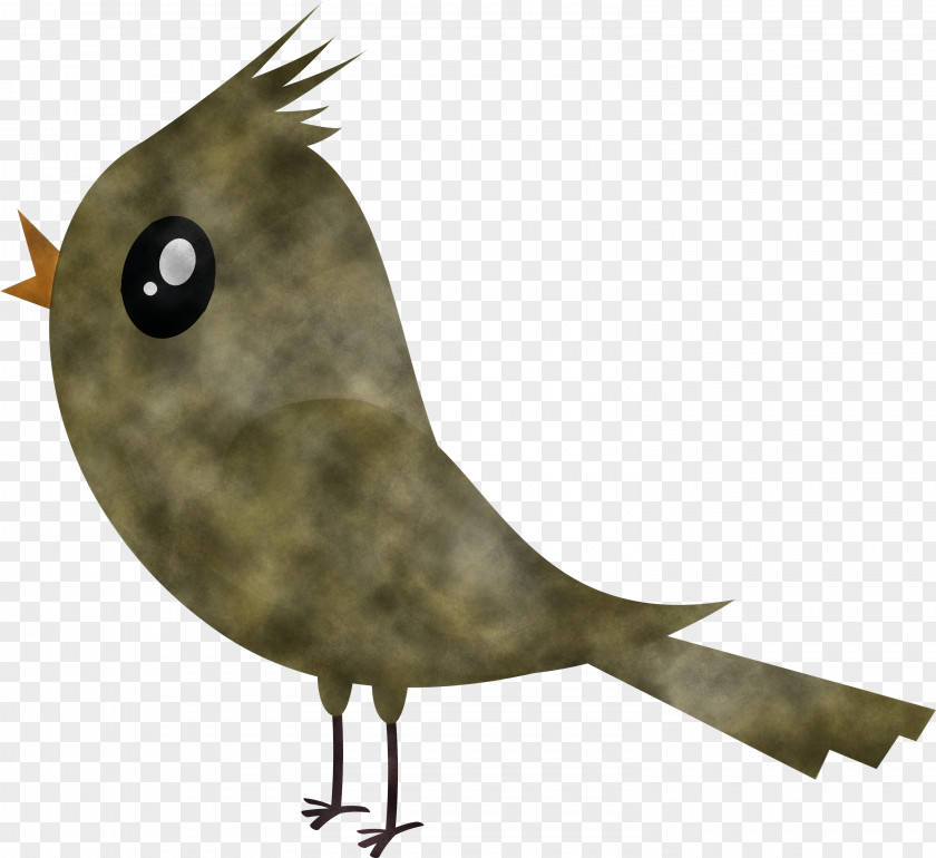 Bird Beak Cartoon Animation Perching PNG