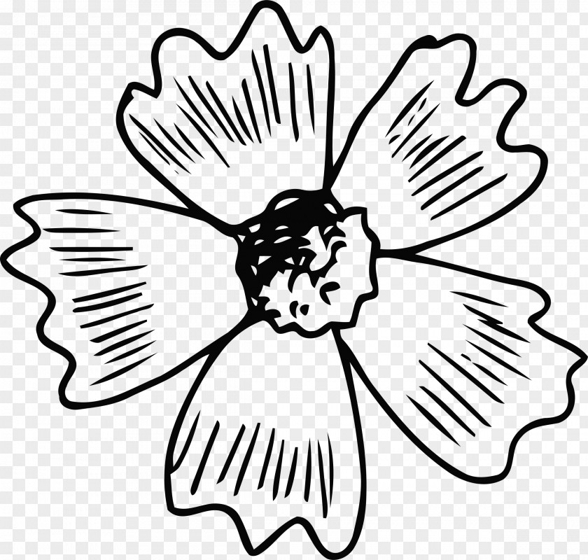 Flower Clip Art Petal Openclipart Color PNG