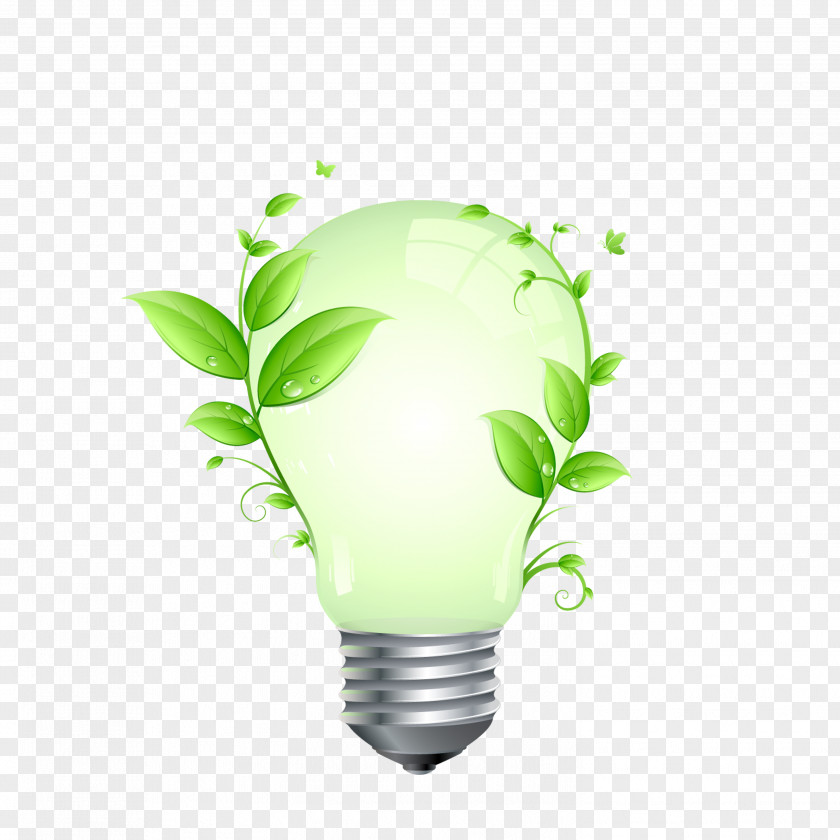 Light Bulb Incandescent LED Lamp Energy Conservation Efficient Use PNG