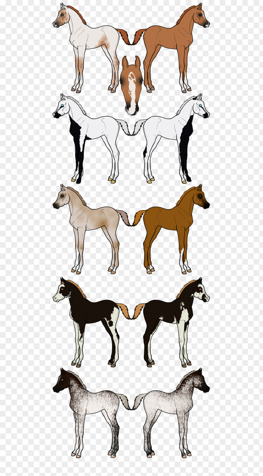 Arabian Horse Mustang Cattle Goat Pack Animal Deer PNG