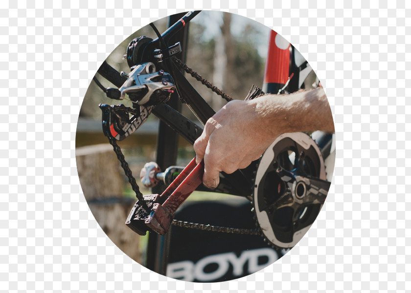 Bicycle Carolina MultiSpoke Shop Racing Wheel PNG