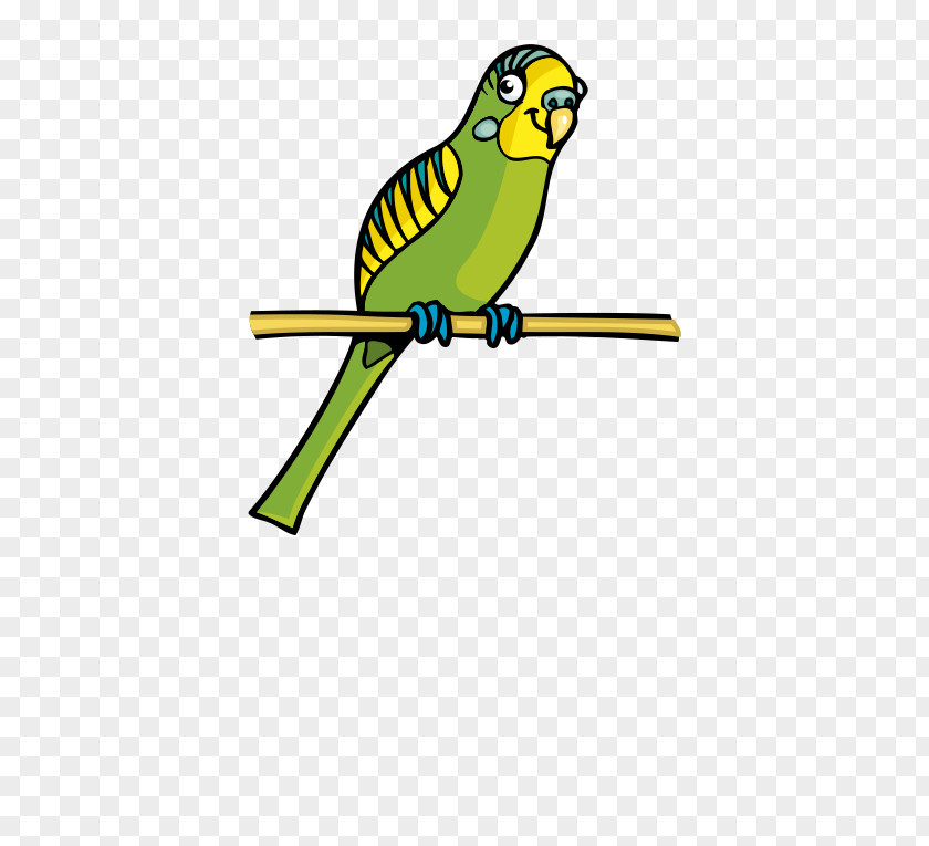 Cute Cartoon Parrot Bird Clip Art PNG