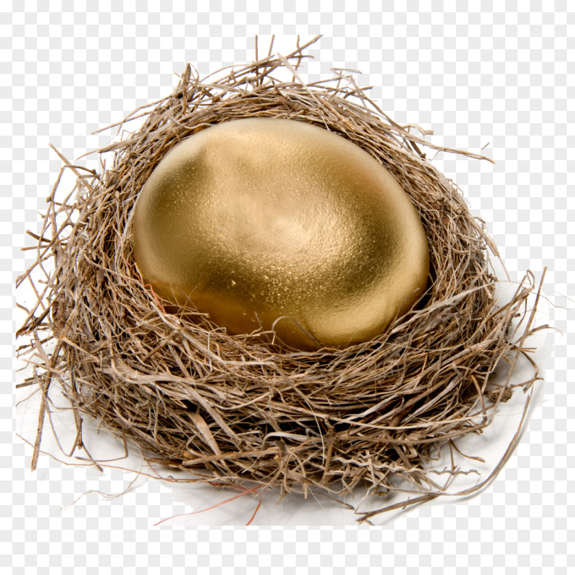 Golden Egg Chicken Easter Nest Stock Photography PNG