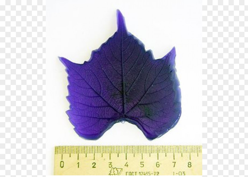 Moldy Leaf Purple PNG